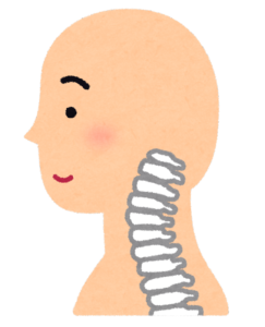 頸椎　イメージ